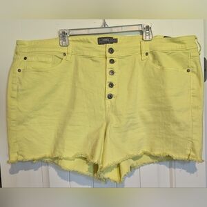Torrid Yellow Fringe Denim Shorts
